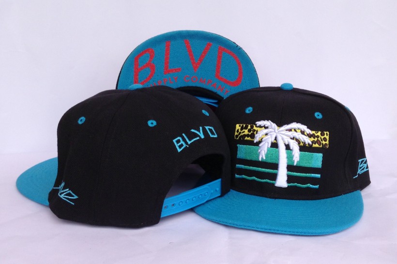 Blvd Supply Snapback Hat #13